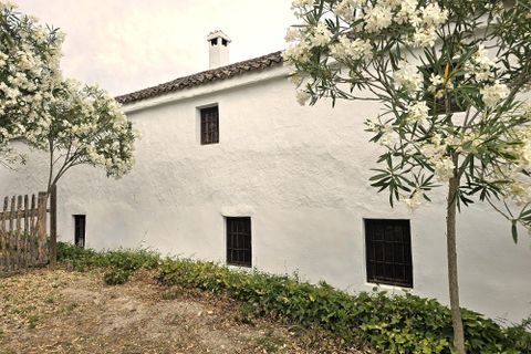 Landejendom i Rute, Cordoba, Rute - € 325.000 | Ref: Ella - foto 42